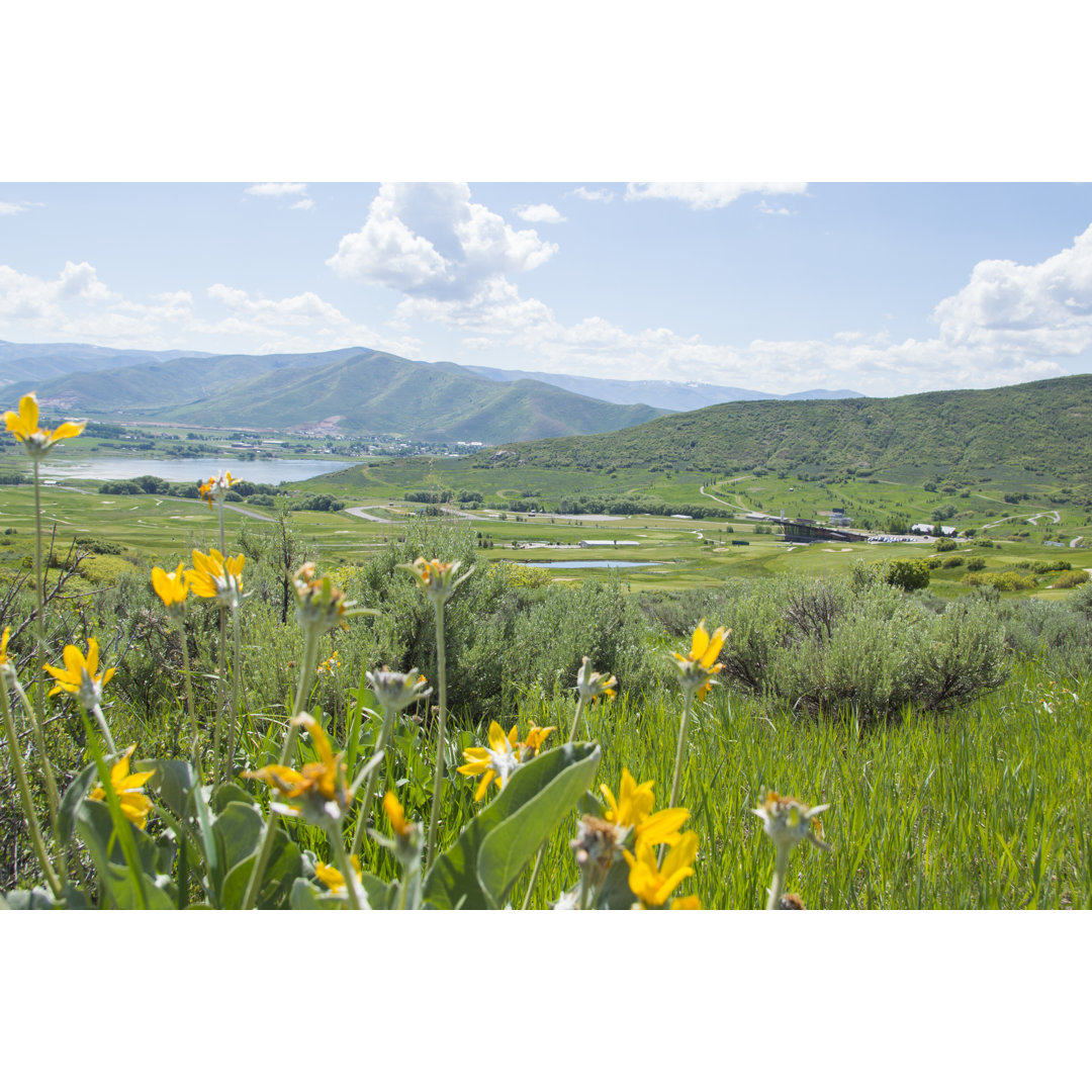 Wildblumen auf einem Hügel mit Blick auf das Heber Valley Utah von Aaron Hawkins - Druck ohne Rahmen auf Leinwand