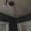 Photos des clients 1 de 1