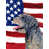 Brown Italian Greyhound selected