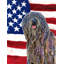Double Sided 15'' H x 11'' W Polyester Independence Day Garden Flag-1288238560