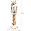 PVC No Holiday Shaped Ornament-131251520-131251523