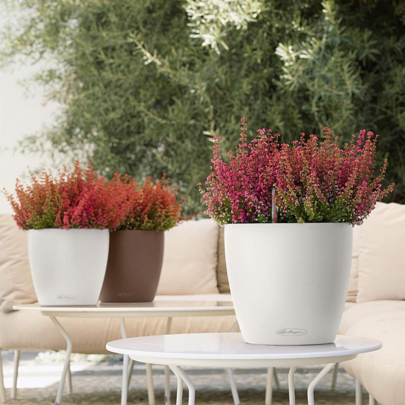Classico Pot Planter, Nutmeg, 20.5cm H x 21.5cm W x 21.5cm D