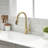 OAKLAND Single Handle Pull Down Kitchen Faucet-101054520