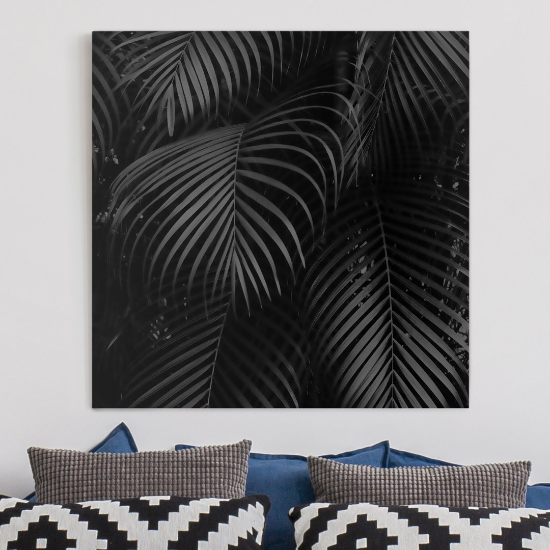 Leinwandbild Black Palm Fronds