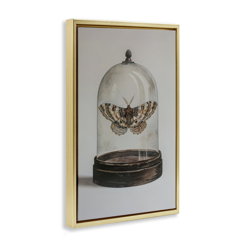 Toile flottante «Moth in Glass Cloche» par Petal Prints Design, Cadre flottant métallique doré, H 31 po x l 21 po