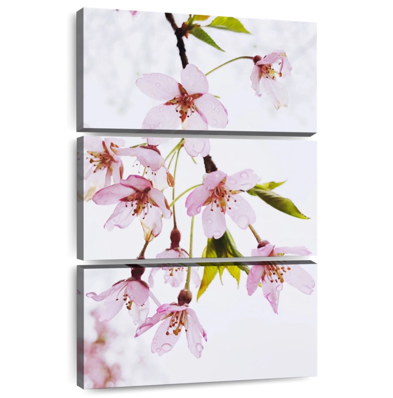 Cerisier japonais Harnek Dewy, H 38 po x l 24 po