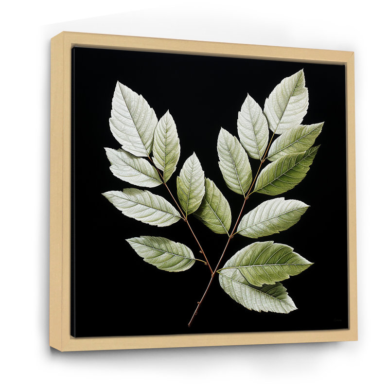 «Black and Green Leaves Simplicity» sur impression sur toile, Cadre naturel flottant, H 24 po x l 24 po x P 1 po