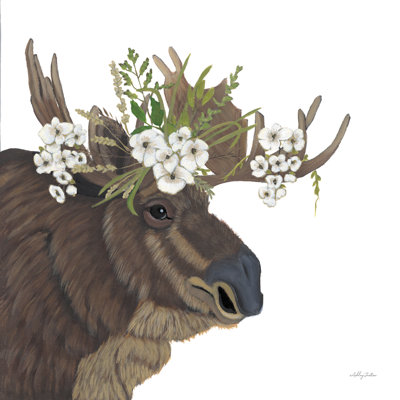 " Anonymoose "