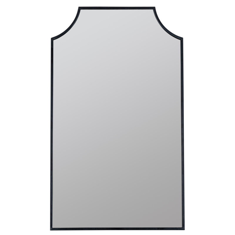 Simone 20.75'' W Mirrored Medicine Cabinet, Black