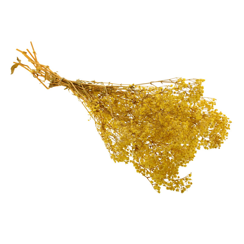 Preserved Baby's Breath Arrangement, Yellow