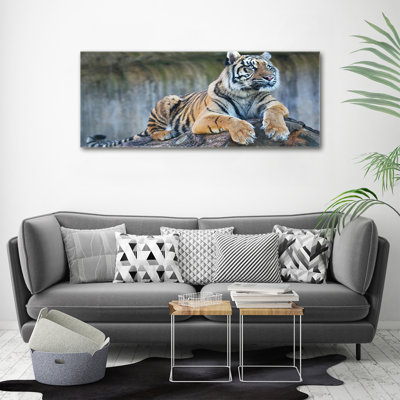 Tiger - No Frame Print on Canvas