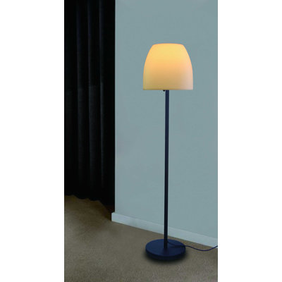 Anusuya Floor Lamp