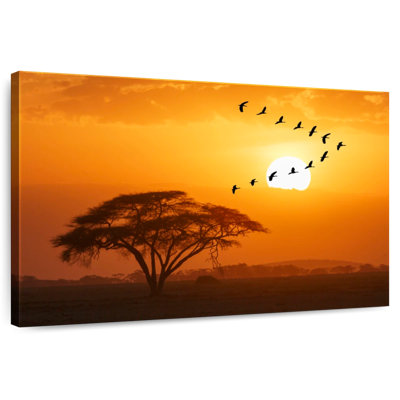 Coucher de soleil Alvord Safari
