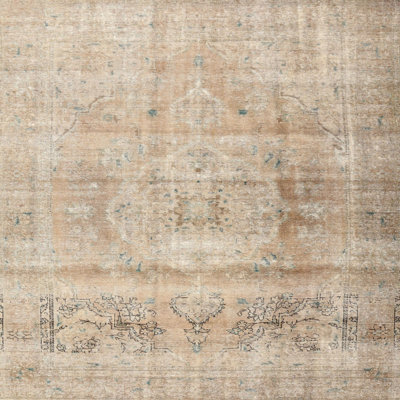 Oriental Indoor Rug