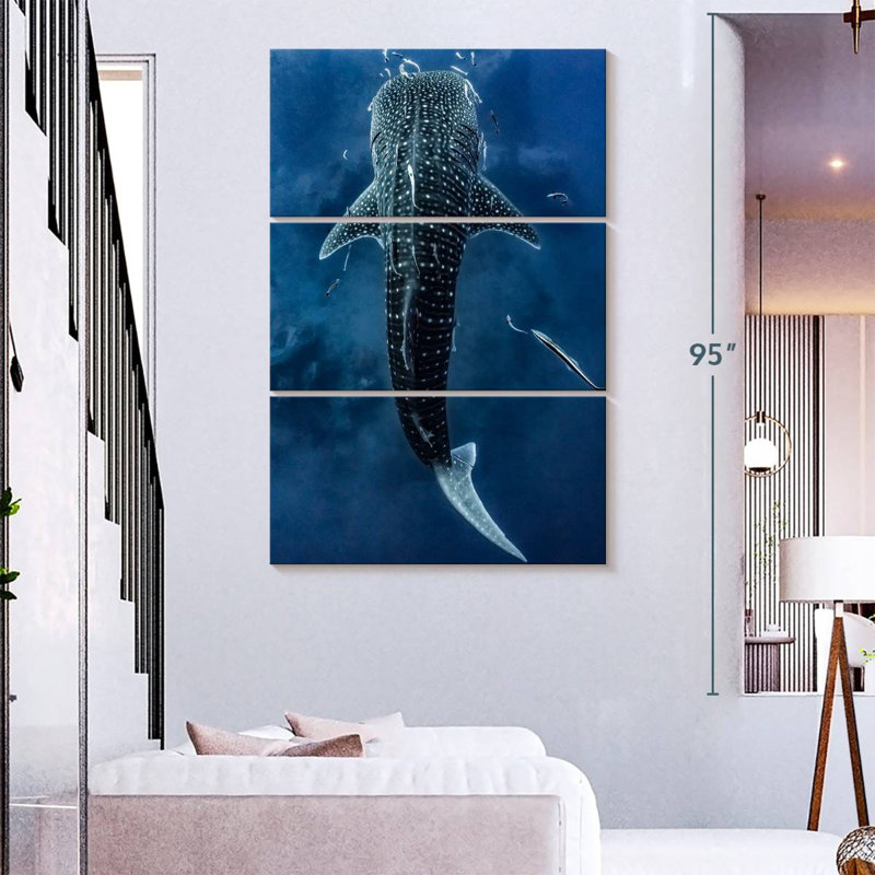 Brampt Spotted Whale Shark
