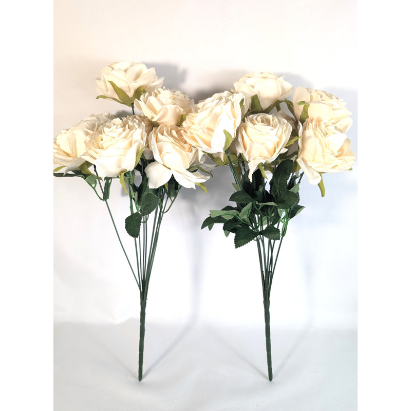 Roses du Sahara, Ivoire ivoire