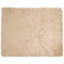 Solid Colour Standard Area Rug-509379277