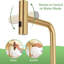 Dilon Colour Kitchen Faucet-101637396