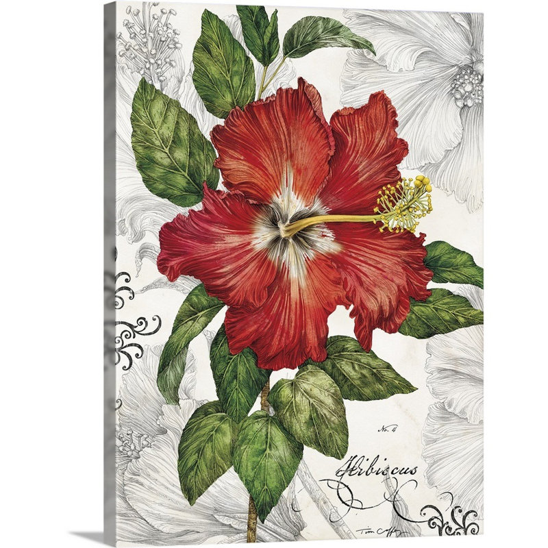 Hibiscus rouge sur toile blanche, Toile tendue, H 32 po x l 24 po x P 1,25 po