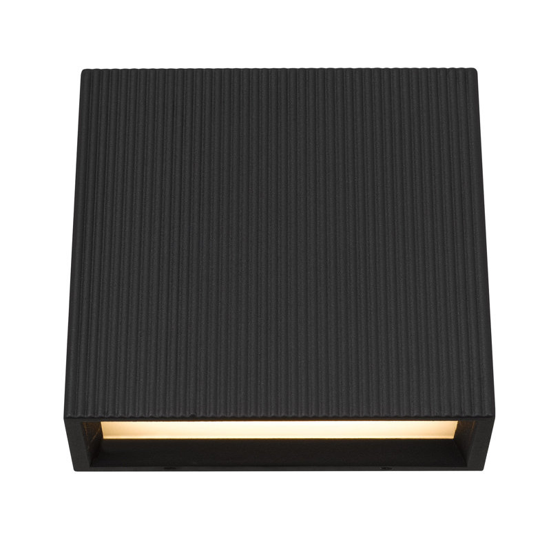 5 Inch LED Wall Sconce
