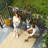 3 Piece Rattan Seating Group-366585712