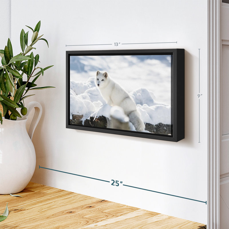 Impression sur toile renard arctique, H 9 po x l 13 po