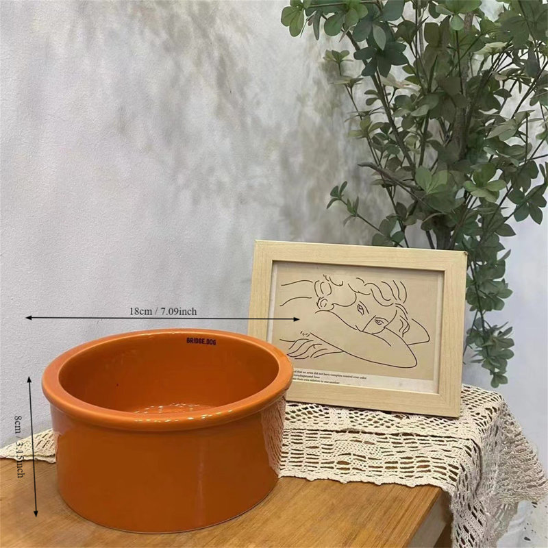Pet Bowl, Orange