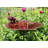 Antique Birdbath with Birds and Stake