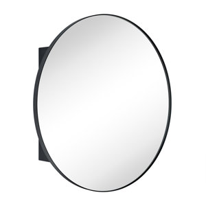 https://assets.wfcdn.com/im/02755710/resize-h300-w300%5Ecompr-r85/2624/262419498/Seenaa+Surface+Mount+Framed+Medicine+Cabinet+with+Mirror+and+2+Adjustable+Shelves.jpg