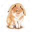 Lop-rabbit - Art pour enfants, toile encadrée