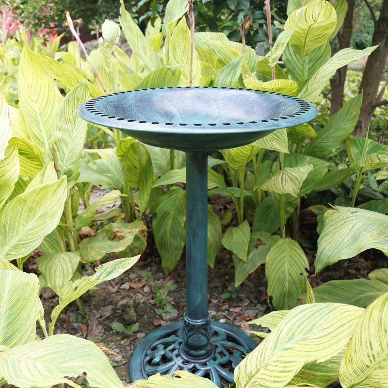 Outdoor Polyresin Antique Bird Bath with Solar Powered Round Pond Fountain, Green