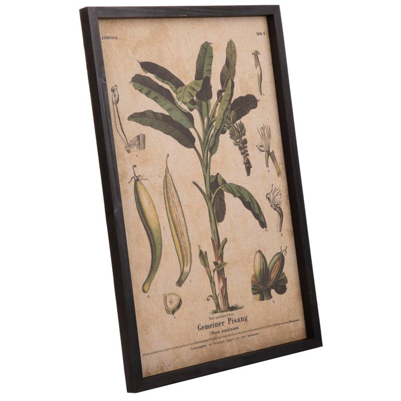 Single Picture Frame Print