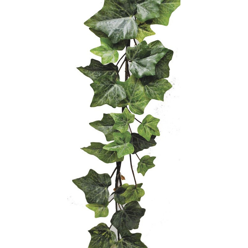 Guirlande 6 'Holland Ivy