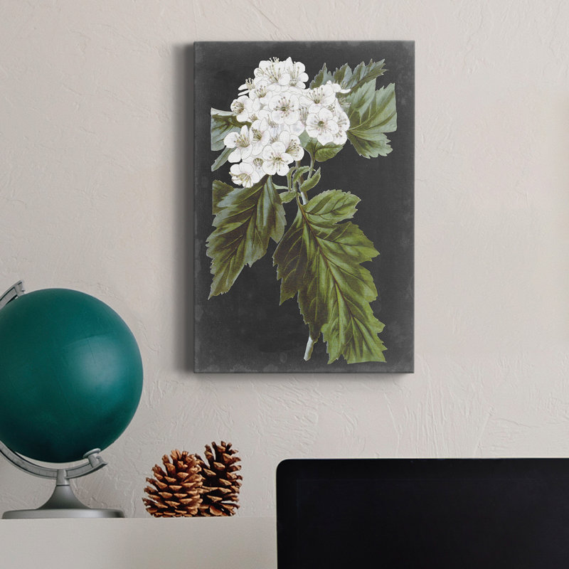 Fleurs blanches dramatiques IV - impression
