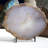 Cyinthia Crystal