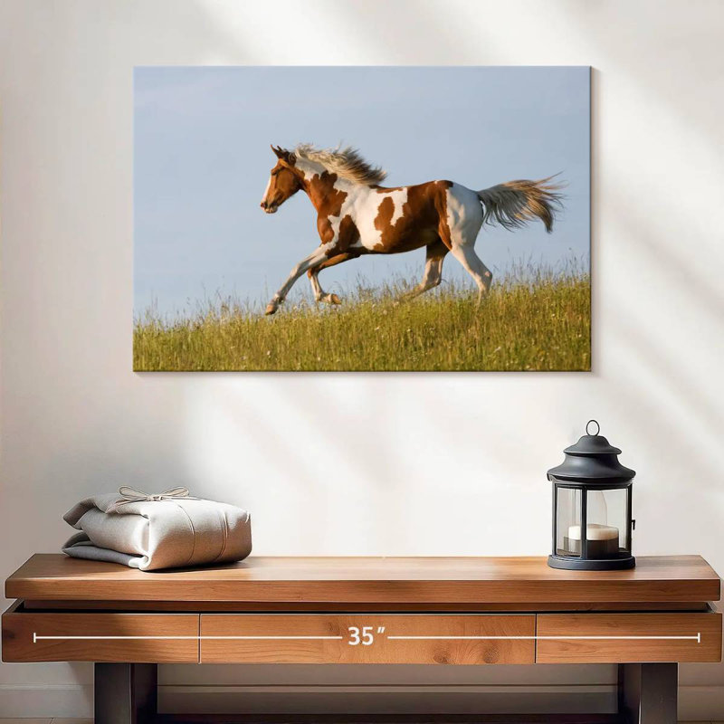 Cheval Appaloosa gratuit