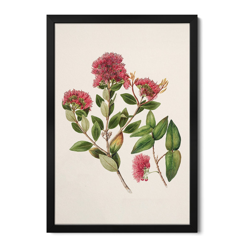 Rata - Wall Art Print - Gallery Poster, 24" H x 16" W