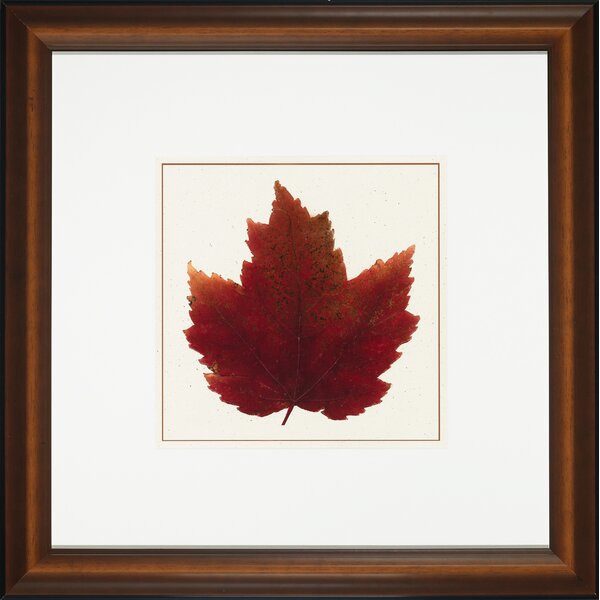 Wendover Art Group Nature Leaves I by Wendover Art Group | Perigold