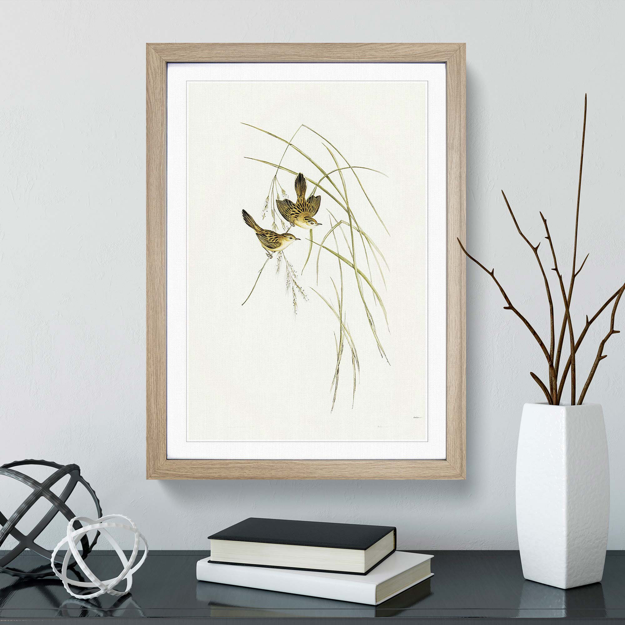 East Urban Home Lineated Warbler by Elizabeth Gould - Picture Frame ...