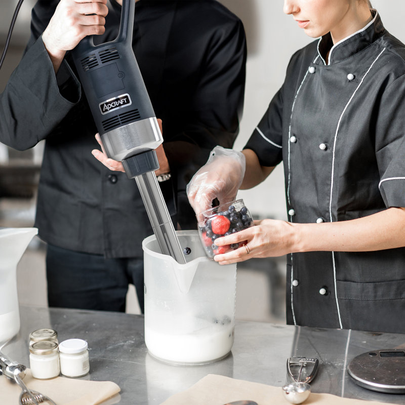Adcraft 750W Variable Speed Commercial Immersion Blender in Dark Grey