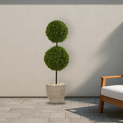 Boxwood Topiary Tree in Pot