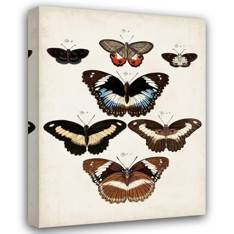 Art sur toile tendue par August Grove® Vision Studio, titré: Vintage Butterflies II