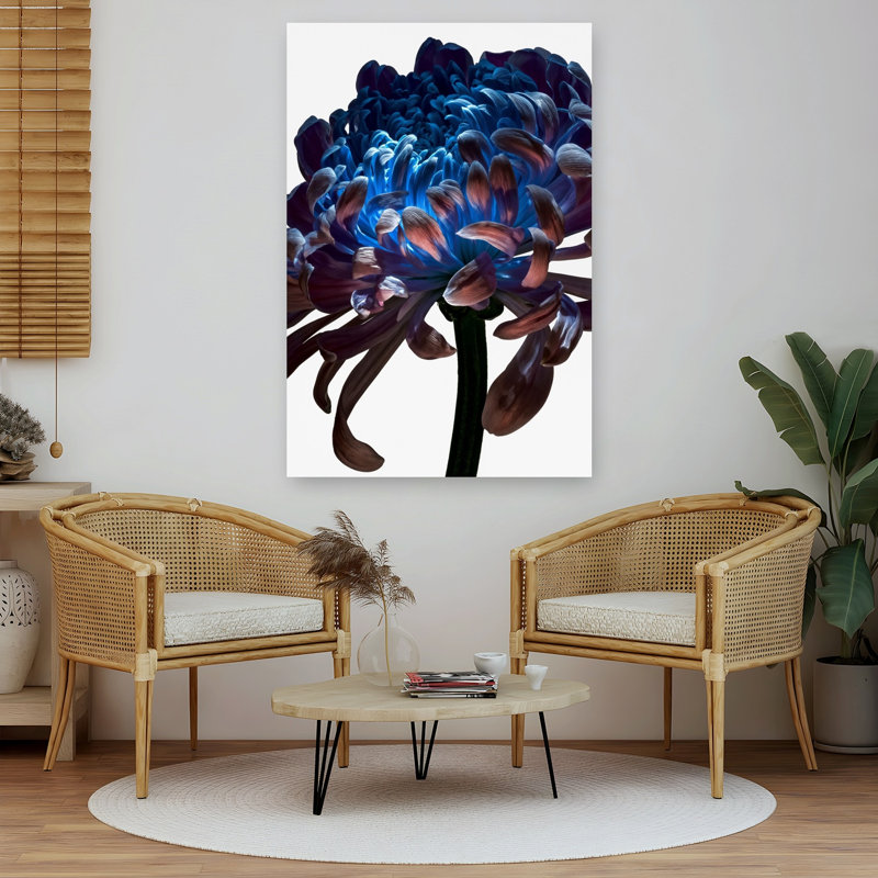 Blue Chrysanthemum Dramatic Elegant Ethereal Chrysanthemum Flower Nature Wall Art Print 1 Piece Wrapped Canvas Wall Art