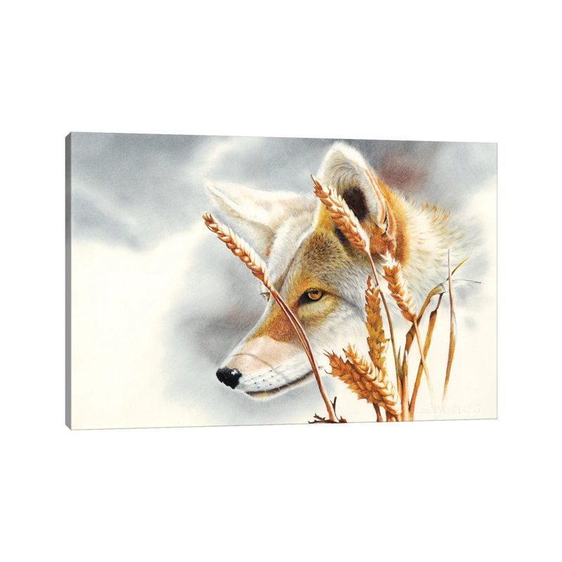 Song Dog by Peter Williams - Gallery-Wrapped Canvas Giclée on Canvas, No Frame, 20.32 cm H x 30.48 cm W