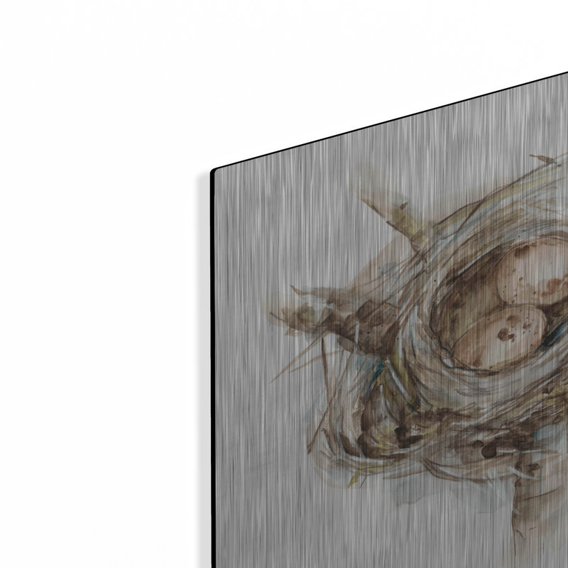 «Bird Nest Study I» par Ethan Harper, H 12 po x l 12 po