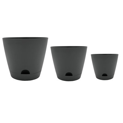 Karonda Pot Planter
