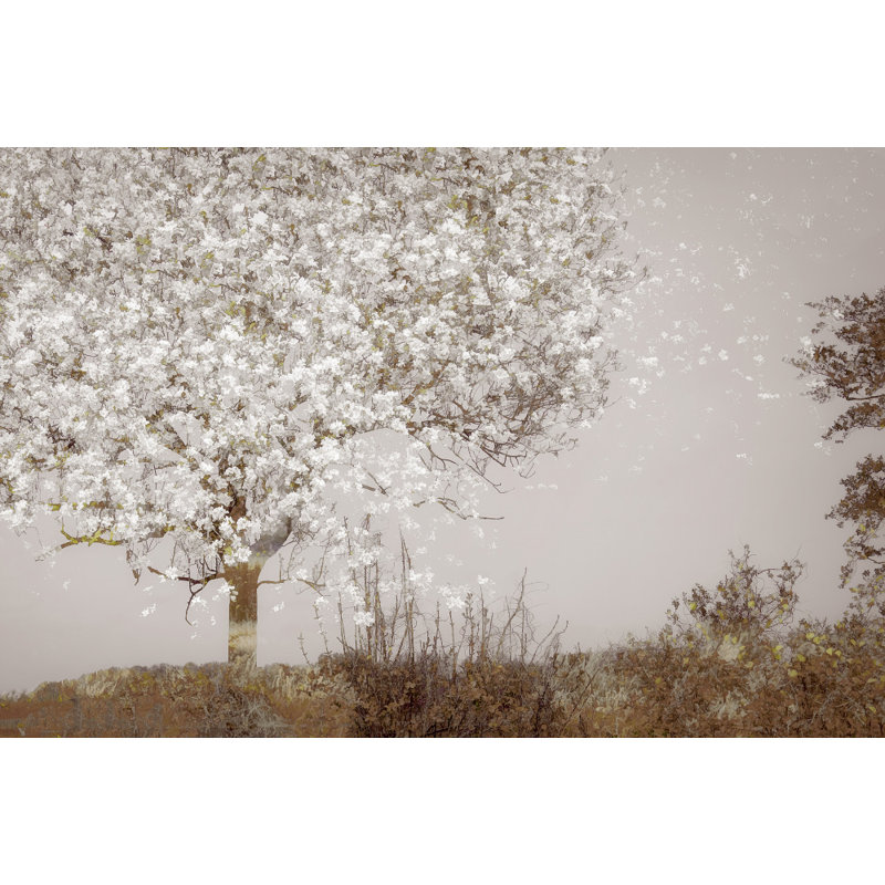 Wrapped Canvas Print, 81.28 cm H x 121.92 cm W