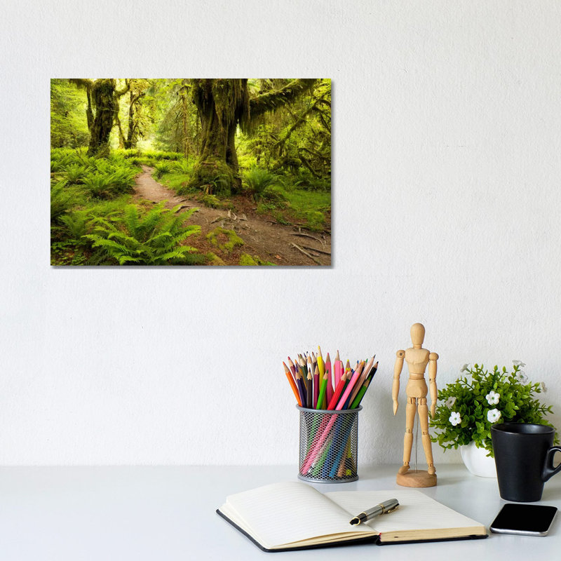 Jungle Path - Hoh Rainforest, Washington State by Stefan Hefele - Wrapped Canvas Print, 20.32 cm H x 30.48 cm W
