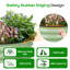 Lit de jardin surélevé en métal 2,5 pi x 2,5 pi Cotilla-2079043032