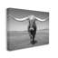 Longhorn en campagne par Steve Toole-93944360-93944361